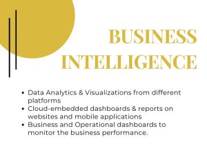 business intelligence software