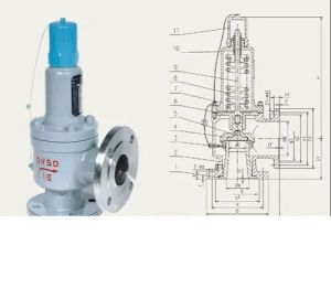 Safety Relief Valve