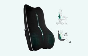 Orthopedic Car And Chair Backrest