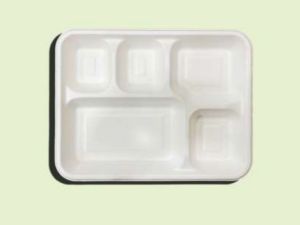 5 CP Bagasse Meal Tray