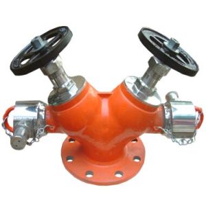 Double Controlled Landing Valve