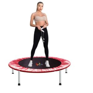 Mini Trampoline