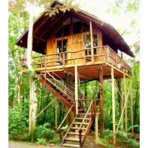 Modular Bamboo Tree House
