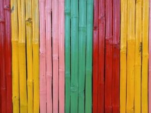 Painted Bamboo Fencing