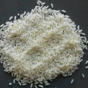 White Short Grain Kalanamak Rice