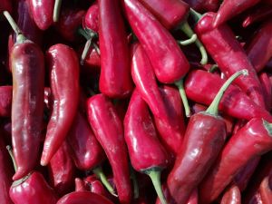 Fresh Red Chilli