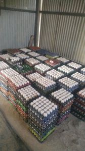 Farm Fresh Eggs