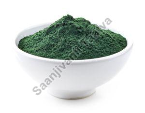 Dried Spirulina Powder