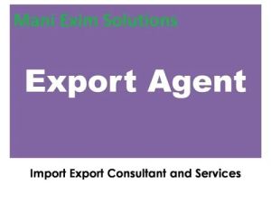 Export Agent Service