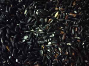 Organic black rice