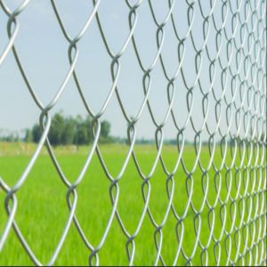 Galvanized Iron Chain link Fence