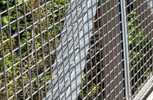 Silver Welded Wire Mesh Fence