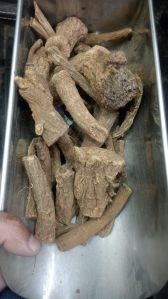 Dried Indian Costus Root