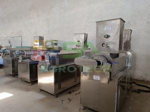 100kgph Fish Feed Plant