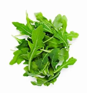 Fresh Rocket Leaf