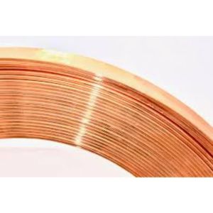 Earthing Copper Strips