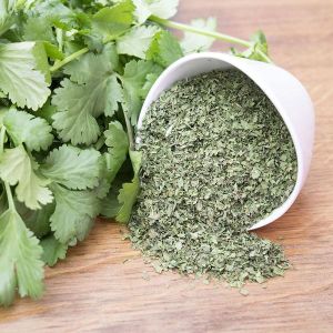 natural dried coriander leaves