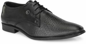 Towrco Leather Shoes