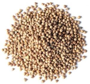 Coriander Seeds