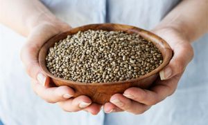 Hemp Seeds