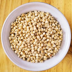 sorghum seeds / White Sorghum Seeds / Red Sorghum Seeds