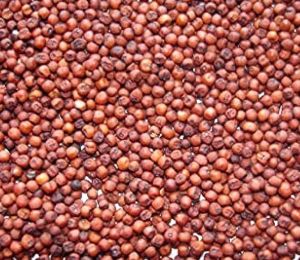 Ragi Seeds