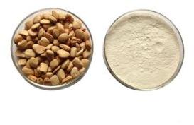 Tamarind Seed Powder