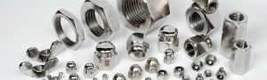 Incoloy 825 Fasteners