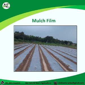 Mulch Film