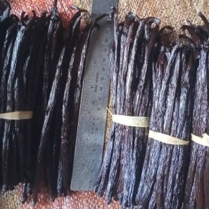 African Vanilla Beans