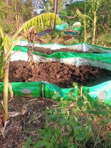 Vermicompost Fertilizer