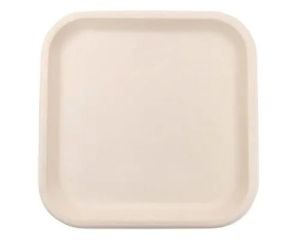 9 Inch Square Bagasse Plate