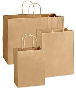 Brown Paper Bag with Handle