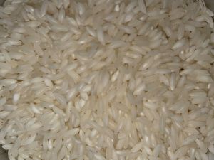 kurnool sona masoori rice