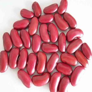 organic dried small dark red kidney beans