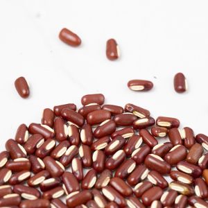 high quality dark red long shape kidney beans