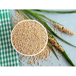 Natural Jowar Grain