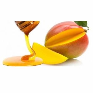 Organic Mango Honey