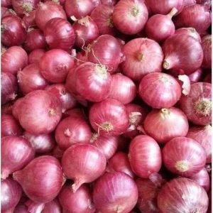 B Grade Red Onion