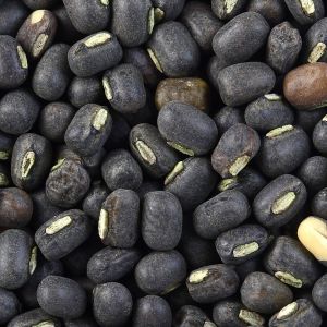 Black Urad Dal