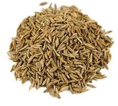 Cumin Seeds