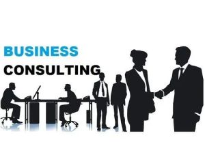 Business Development Consultancy Services