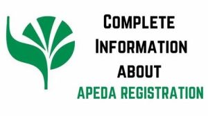 APEDA Advisory Service