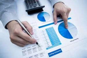 Business & Accounting Analysis Service