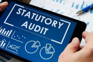 Statutory Audit Service