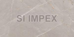 Lumix Grey High Gloss Vitrified Tile