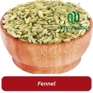 Fennel Seeds