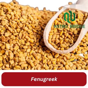 Fenugreek