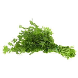 Fresh Coriander Leaves