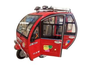 Electric Rickshaw Sticker